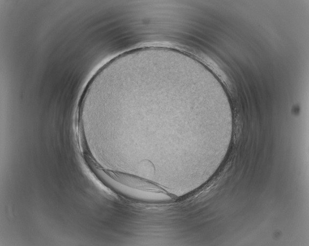 X0000116891084201002021204