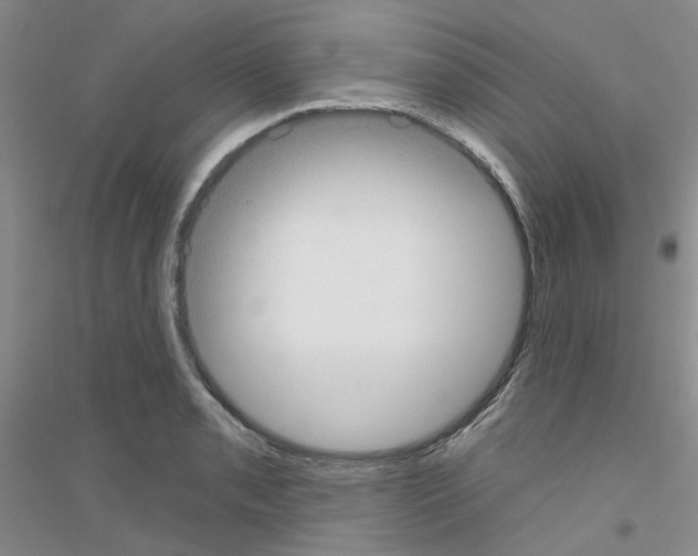 X0000116891085201002021204