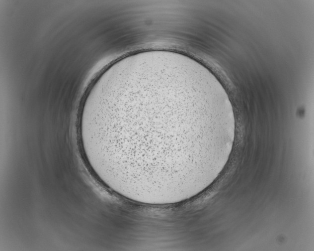 X0000116891086201002021204