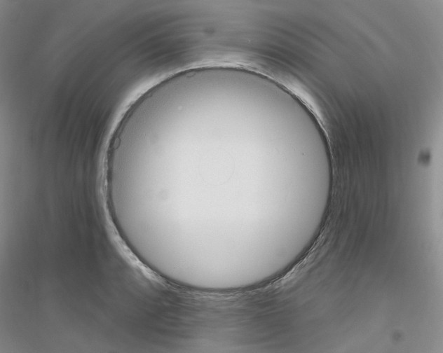 X0000116891088201002021204