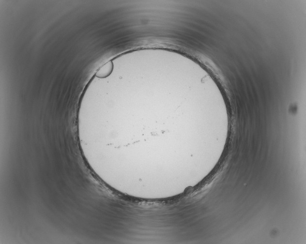 X0000116891089201002021204