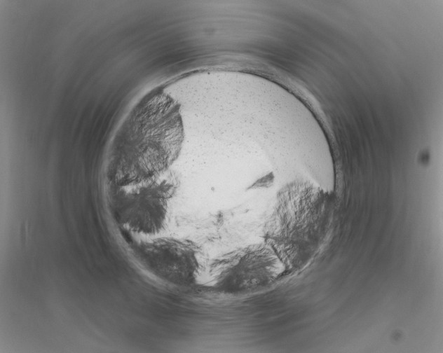 X0000116891091201002021204