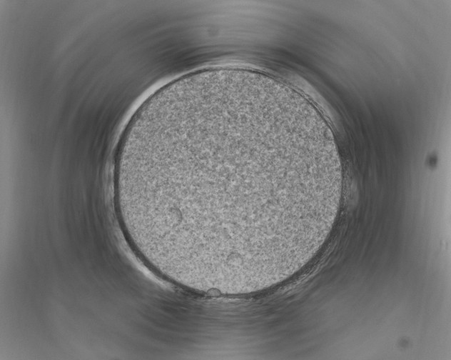 X0000116891092201002021204