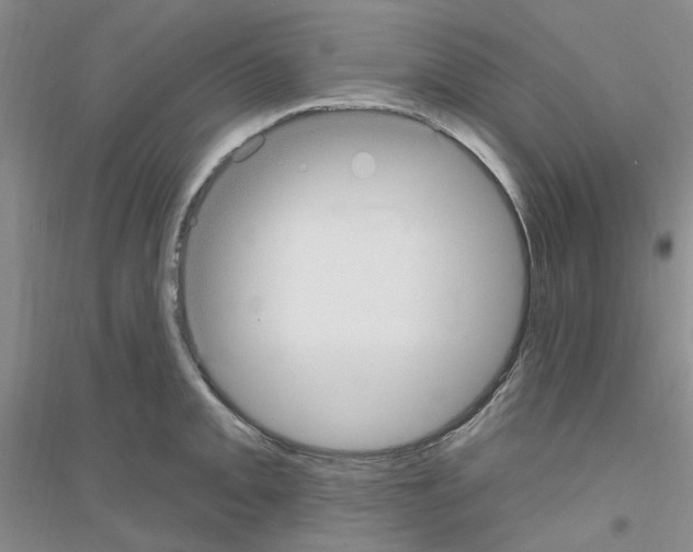 X0000116891093201002021204