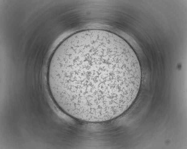 X0000116891094201002021204