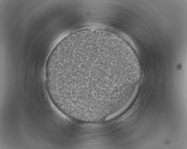 X0000116891095201002021204