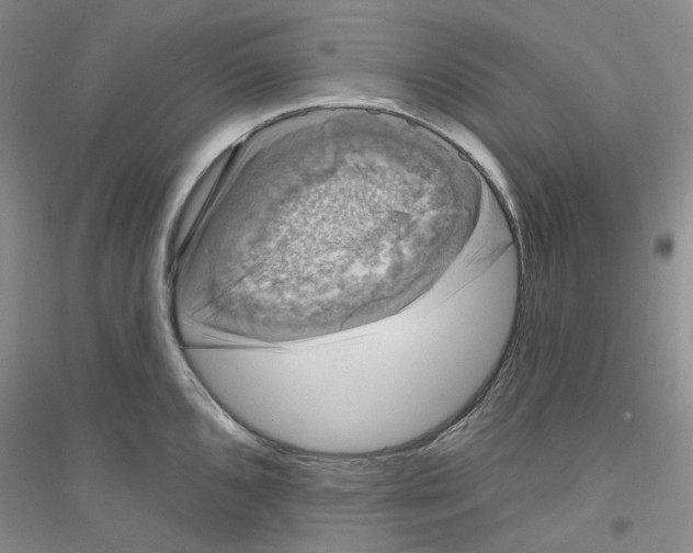 X0000116891096201002021204