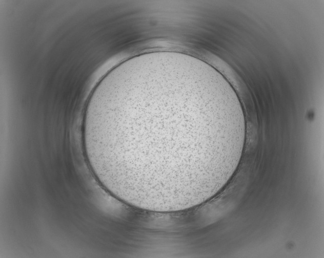 X0000116891098201002021204