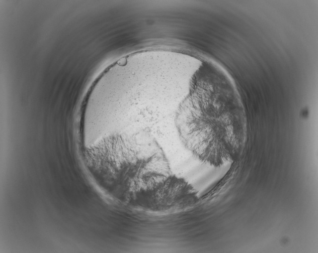 X0000116891099201002021204