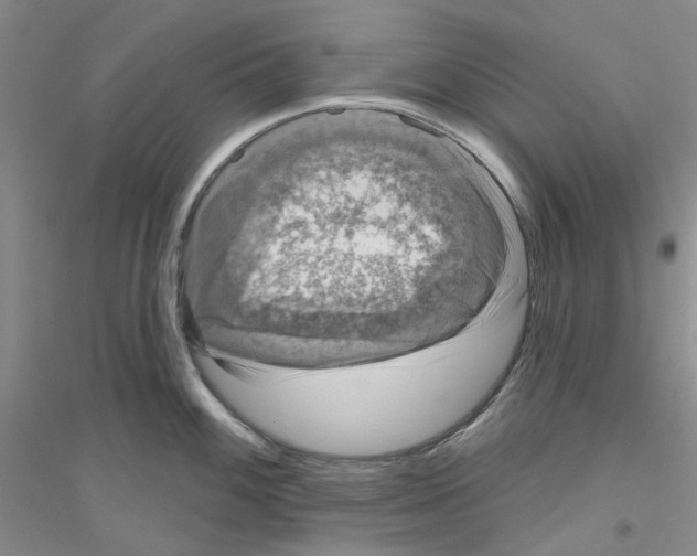 X0000116891100201002021204