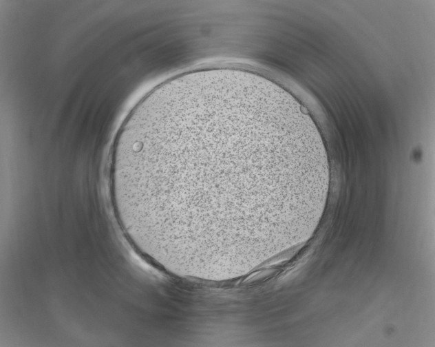 X0000116891102201002021204