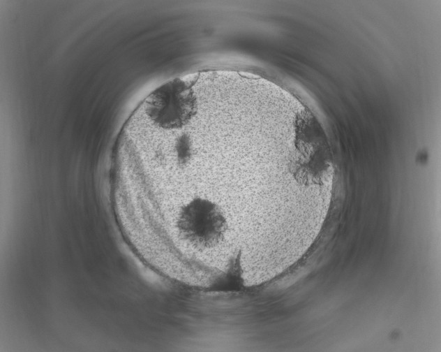 X0000116891103201002021204