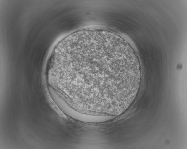 X0000116891104201002021204