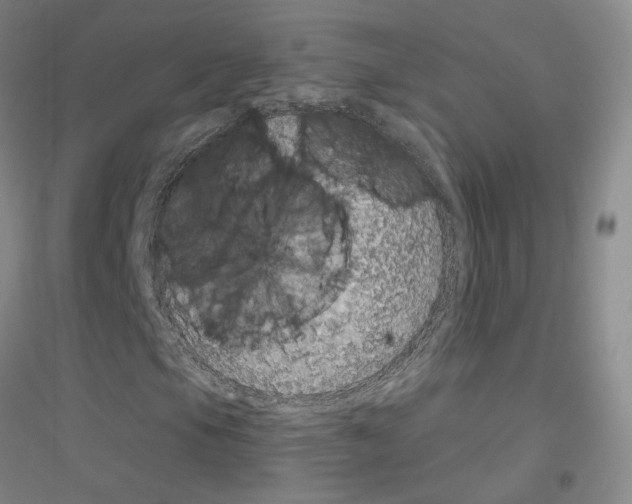 X0000116891105201002021203