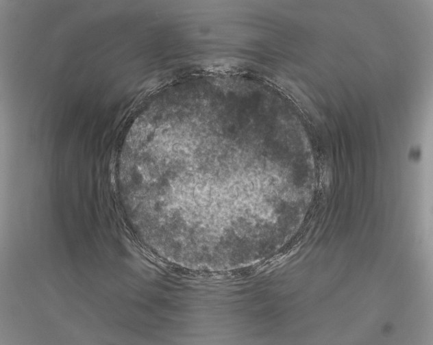 X0000116891106201002021203