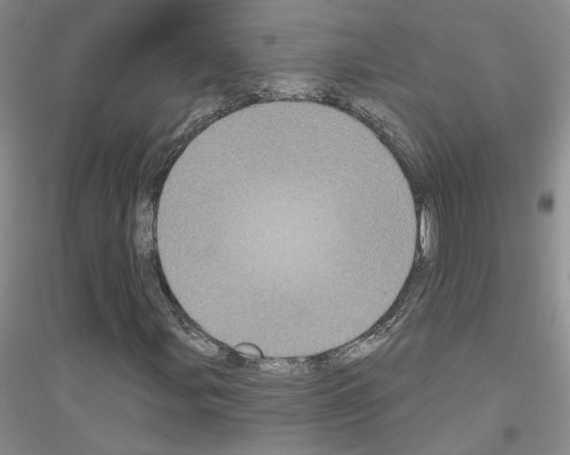 X0000116891107201002021203