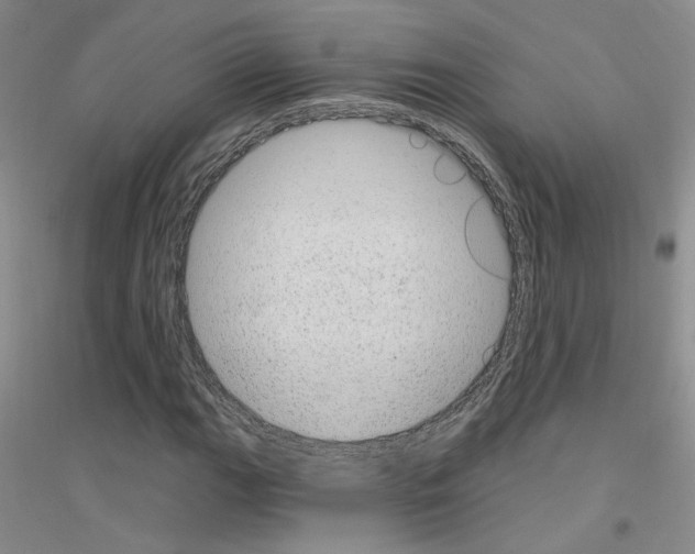 X0000116891111201002021203