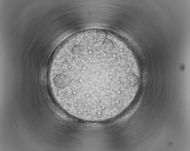 X0000116891113201002021203