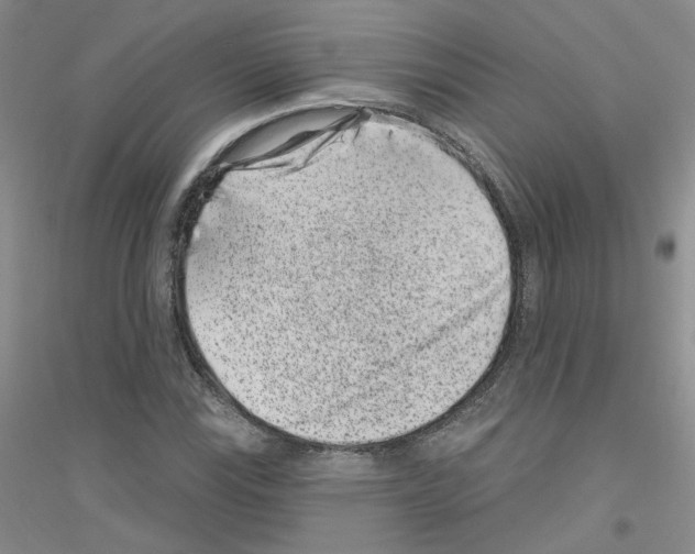 X0000116891115201002021203