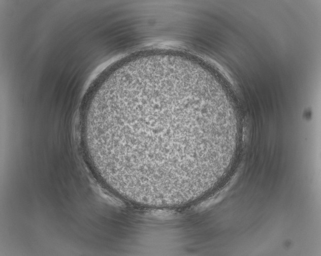 X0000116891117201002021203