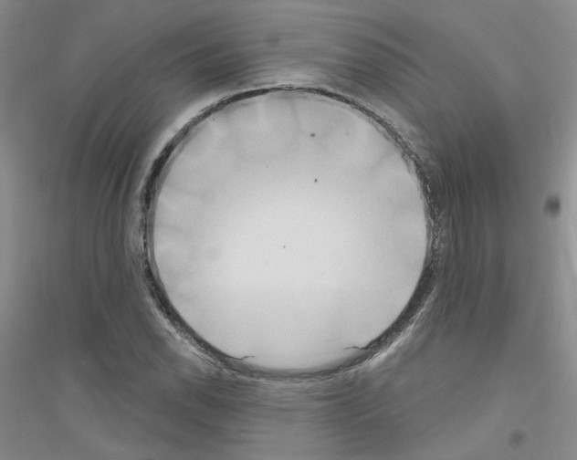 X0000116891118201002021203