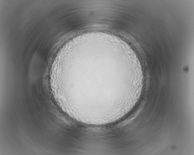 X0000116891121201002021203