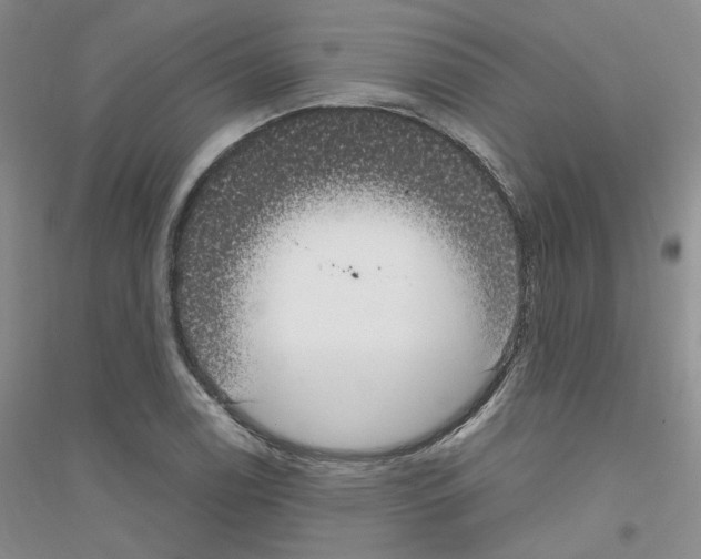 X0000116891122201002021203