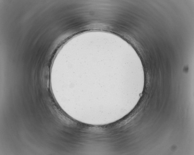 X0000116891123201002021203