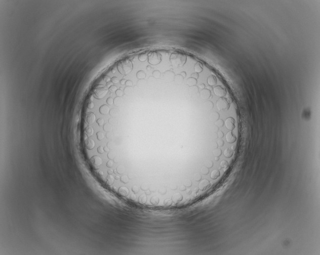 X0000116891126201002021203