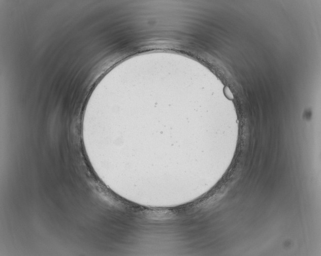 X0000116891129201002021203