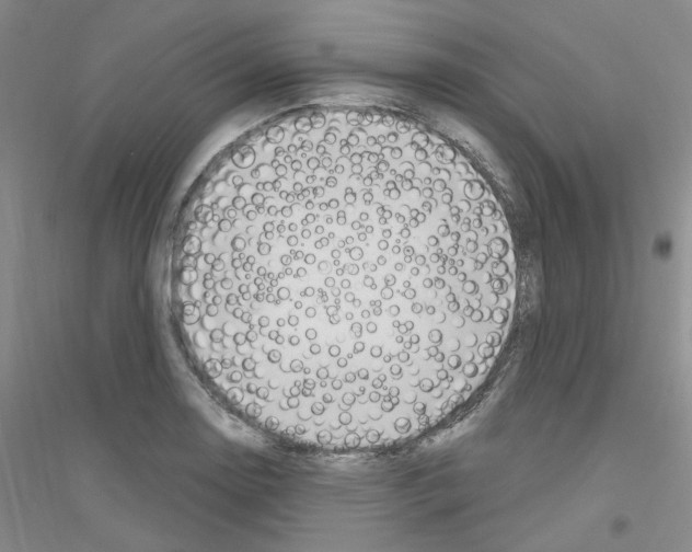 X0000116891130201002021203