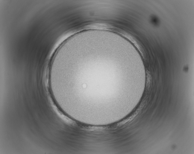 X0000116891131201002021203