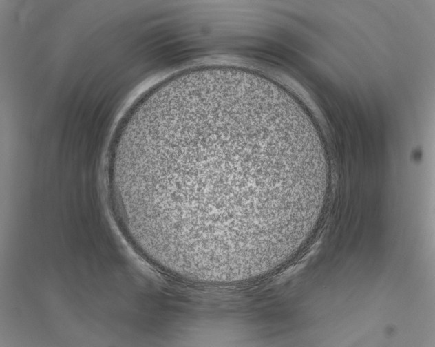 X0000116891133201002021203