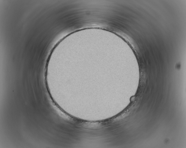 X0000116891135201002021203