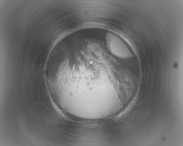 X0000116891137201002021203