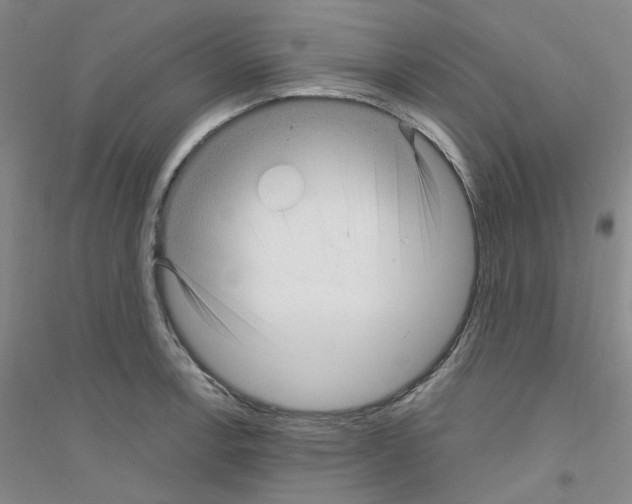 X0000116891138201002021203