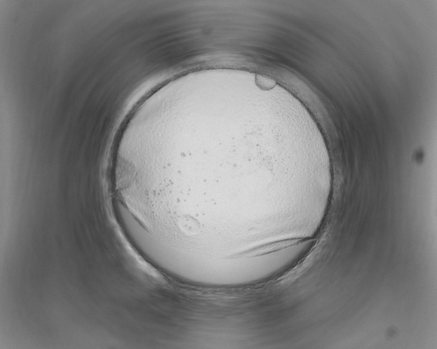 X0000116891141201002021204