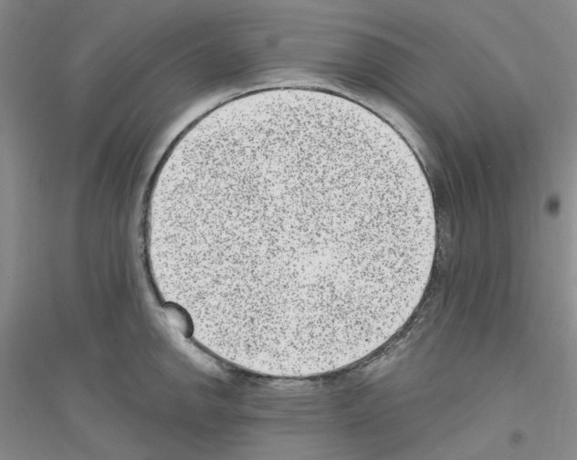 X0000116891142201002021204