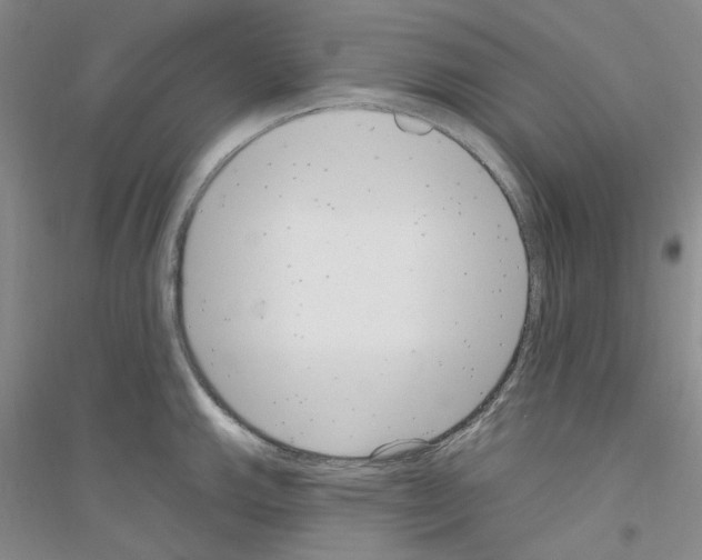 X0000116891143201002021204