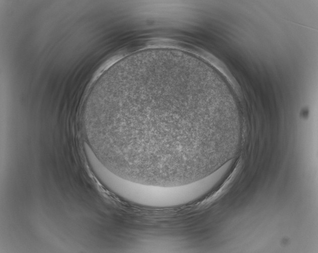 X0000116891145201002021204