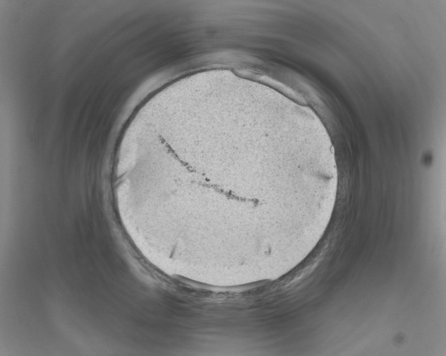 X0000116891146201002021204