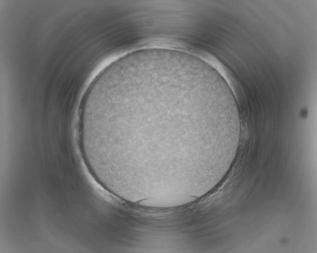 X0000116891147201002021204