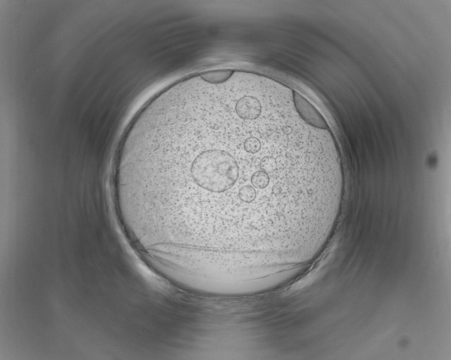 X0000116891149201002021204