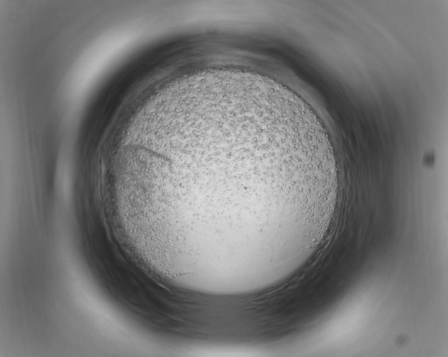 X0000116891151201002021204