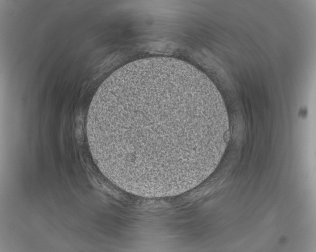 X0000116891154201002021203