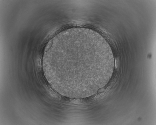 X0000116891155201002021203