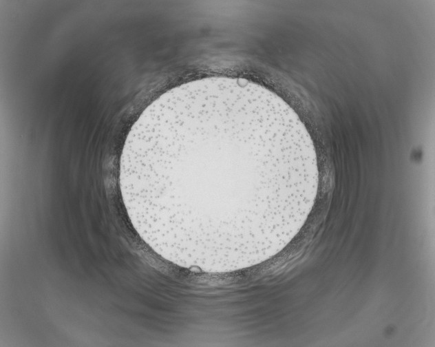 X0000116891156201002021203