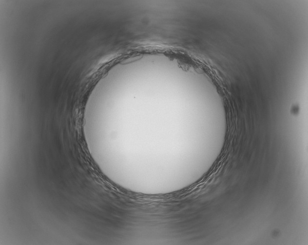 X0000116891157201002021203