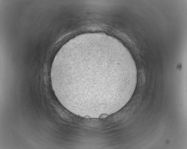 X0000116891158201002021203