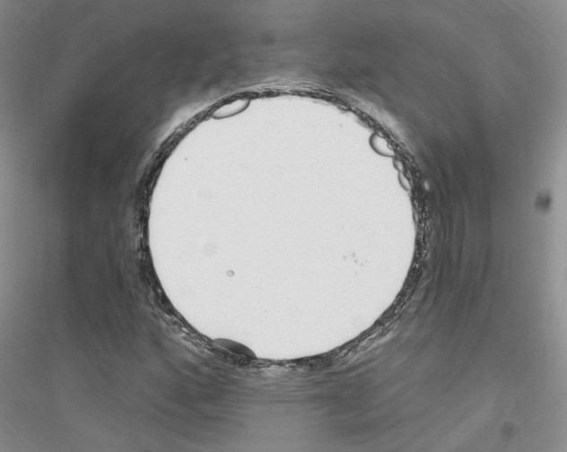 X0000116891160201002021203